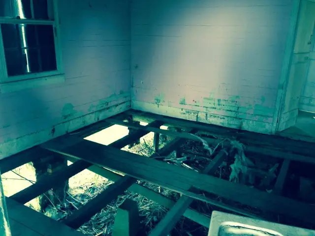 Rooms stripped back to the bones