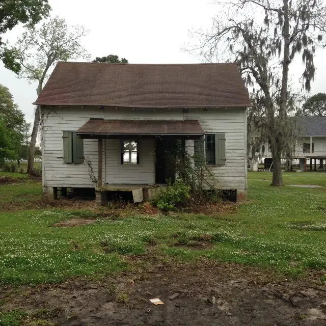 Weathered but standing